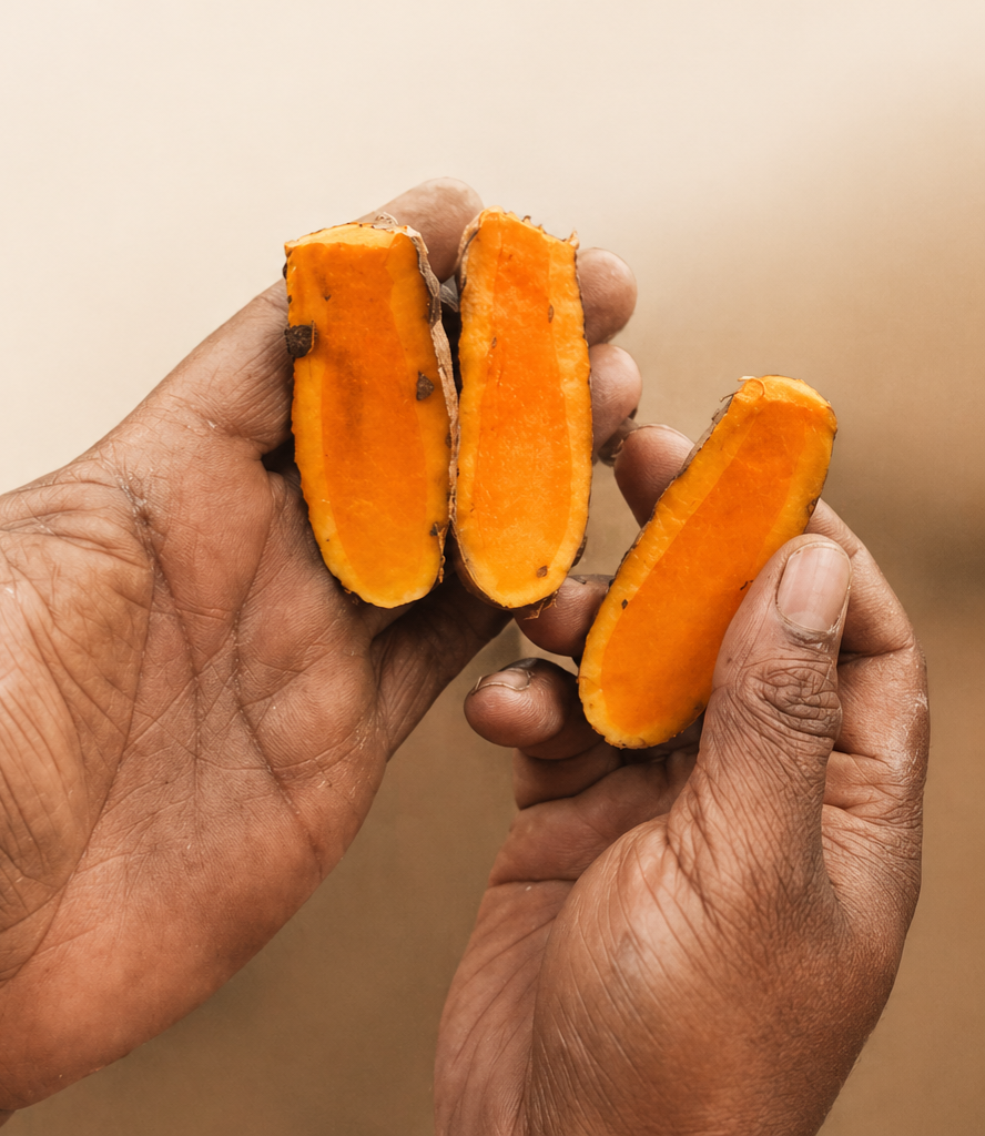 Lakadong turmeric versus regular turmeric — the colour difference you can see
